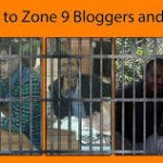 Free zone 9 blogers