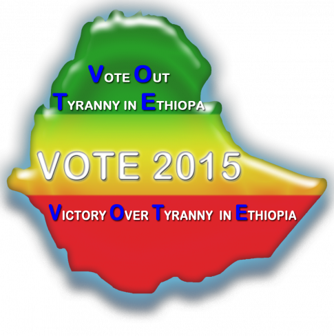 Of Elections and Diapers in Ethiopia in 2015 (Alemayehu G Mariam)