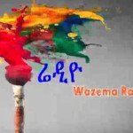 ኢህኣዲግ ከስልጣን ቢወገድ ቀውስ? ወይስ ዲሞክራሲ? [ውይይት  በዋዜማ ሬዲዮ]