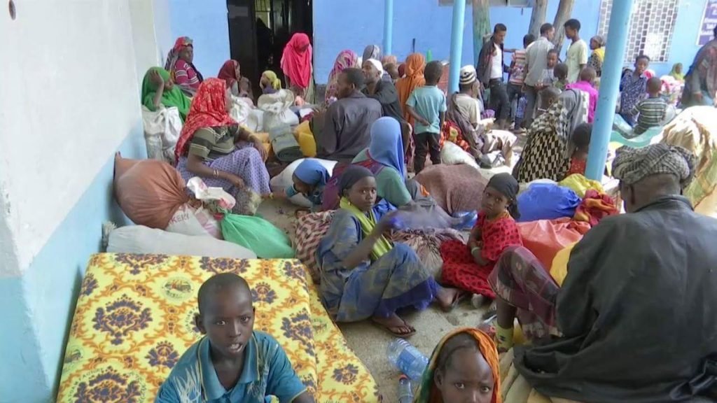 Oromo-Somali conundrum: Can Ethiopia tame the Liyu police?