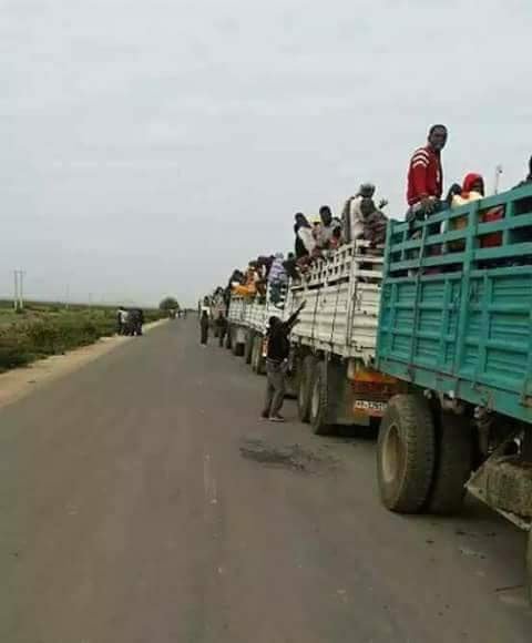 by Siyum Teshome 28092017