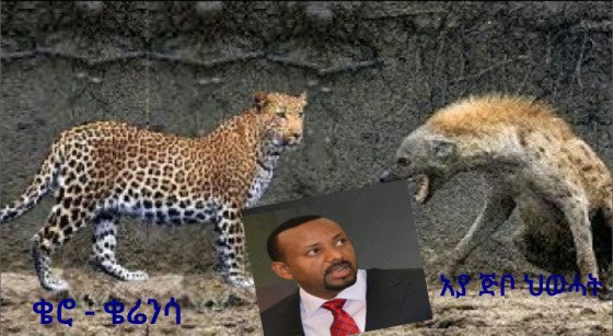 by Seyum Teshome 08052108