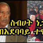 አምዶም ገብረስላሴ ታሰረ