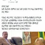 Bereket Simeon and Tadesse Tinkishu 23012019