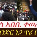 የጀግናው ጋዜጠኛ እስክንድር ነጋ ጥሪ በአዲስ አበባ ደምቆ ዋለ