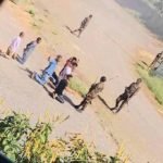 FB_IMG_1586419820584