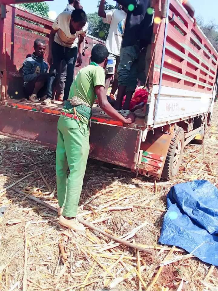 FB_IMG_1610606755572