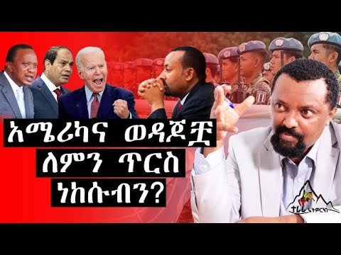 Why is America and her allies against us? (Terara Network)