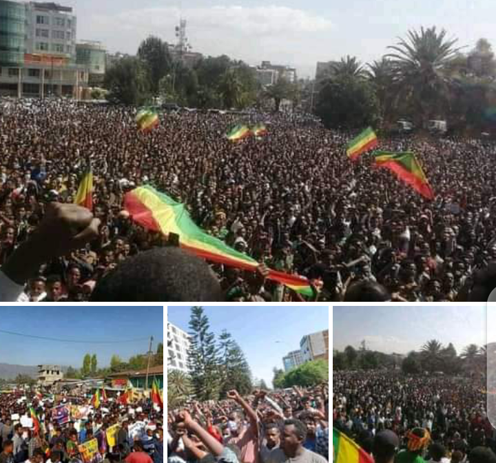 Screenshot_20210420-142620