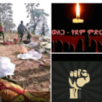 Screenshot_20211013-165252