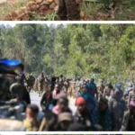 Screenshot_20211202-083808