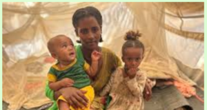 Women’s Bodies as Battlefields: Breast Amputation and Genital Mutilation by The Nobel Peace Laureate Abiy Ahmed Ali’s Soldiers.