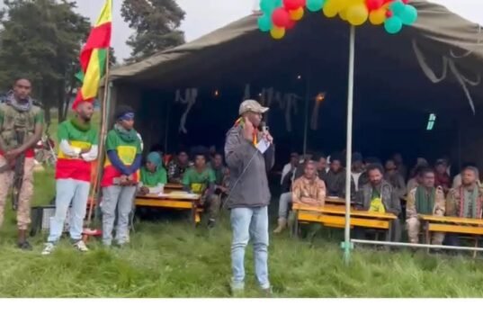 ታላቁ አርበኛ እስክንድር ነጋ፣ (አፋብን) ውስጥ ተሰጥቷቸው የነበረውን የፖሊት ቢሮ አባልነት ቦታ እንደማይቀበሉ አሳወቁ