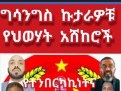 የጽምዶን ጎራ ያተራመሰው የታላቁ አርበኛ እስክንድር ነጋ ከጀርመን ድምጽ ጋር ያደረገው ቃለ ምልልስ