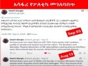 እንደ ፔንዱለም ወዲህና ወዲያ የሚወዛወዘው ሻለቃ ዳዊት ወልደጊዮርጊስ.,.