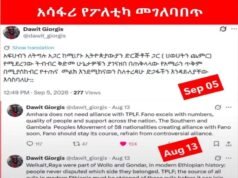 እንደ ፔንዱለም ወዲህና ወዲያ የሚወዛወዘው ሻለቃ ዳዊት ወልደጊዮርጊስ.,.
